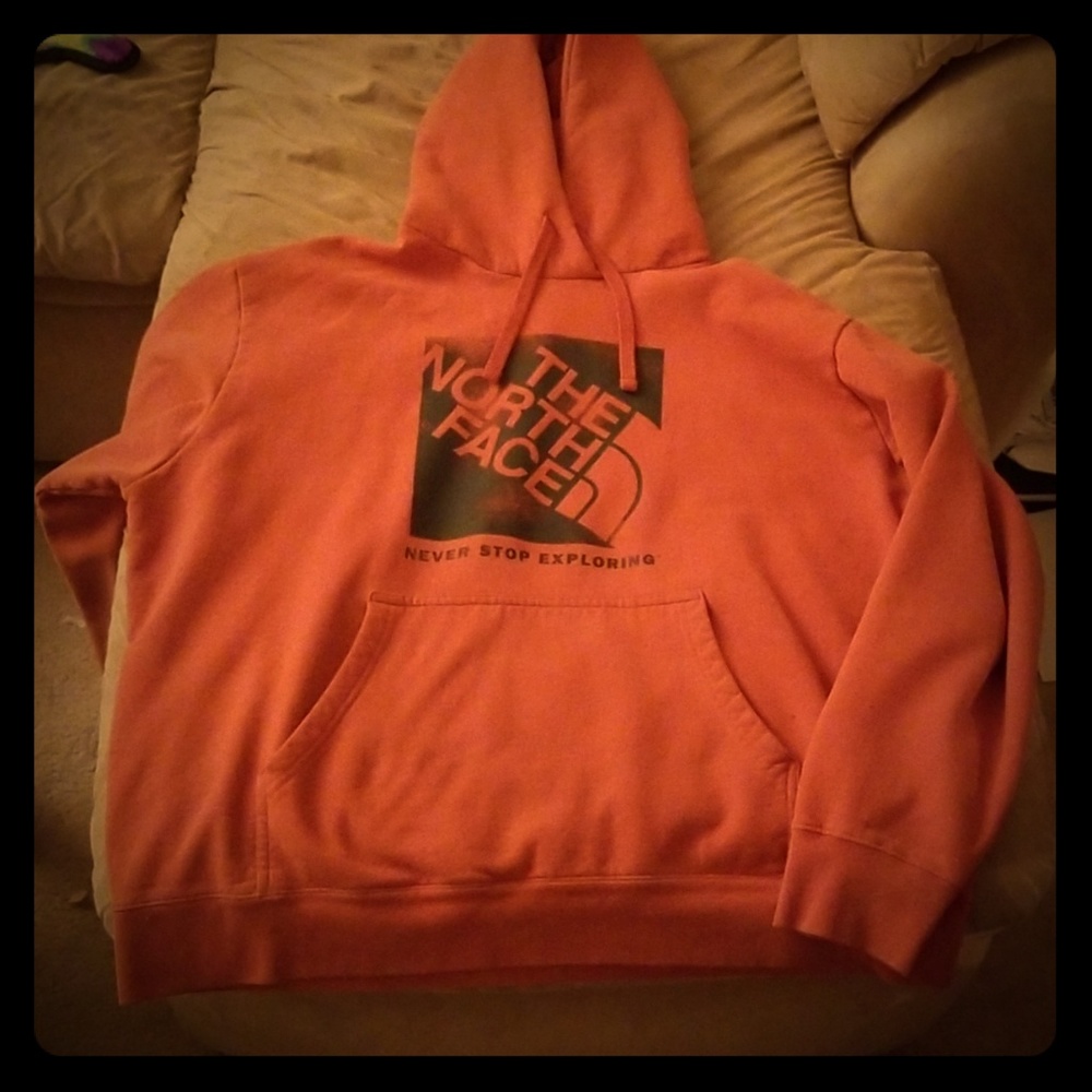 The north face swearshirt